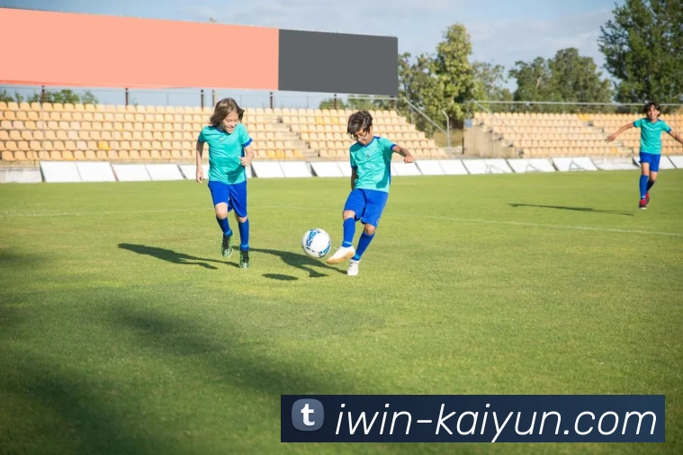 开云体育服务体系